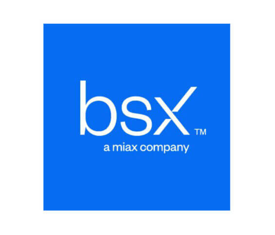 BSX (Bermuda Stock Exchange) logo