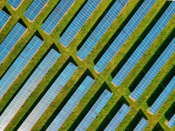 An overhead view of rows of solar panels on a grassy field during the day.
