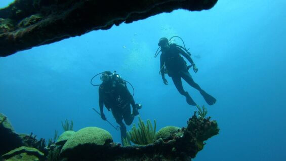Two scuba divers swim underwater in Bermuda.